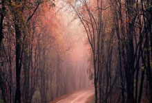 西甲：皇马以2比1击败塞尔塔.