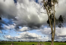 虎扑体育：8个关键词带你“看懂”杭州亚残运会闭幕式潮新闻.