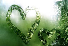 恭喜！中国又一18岁游泳新星崛起夺冠：曾击败张雨霏，接班蝶后？.