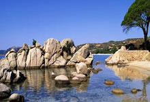 阿图尔：赫罗纳的比赛风格能激发最好的我，让我充分展现才华.